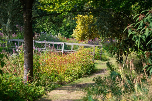 Le jardin anglais